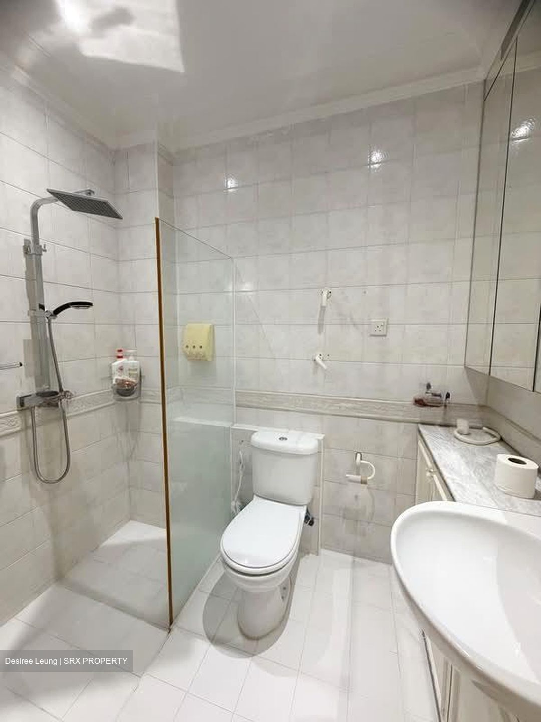 Hock Swee Hill (D28), Semi-Detached #563469891